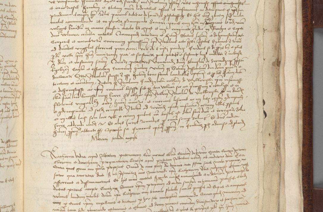 Zdjęcie nr 787 dla obiektu archiwalnego: [Acta pronuntiationum officialia coram Sandivogio de Thanczin]