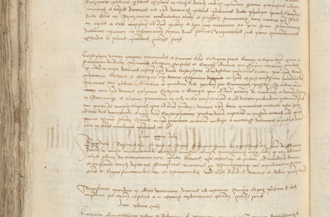 Zdjęcie nr 786 dla obiektu archiwalnego: [Acta pronuntiationum officialia coram Sandivogio de Thanczin]