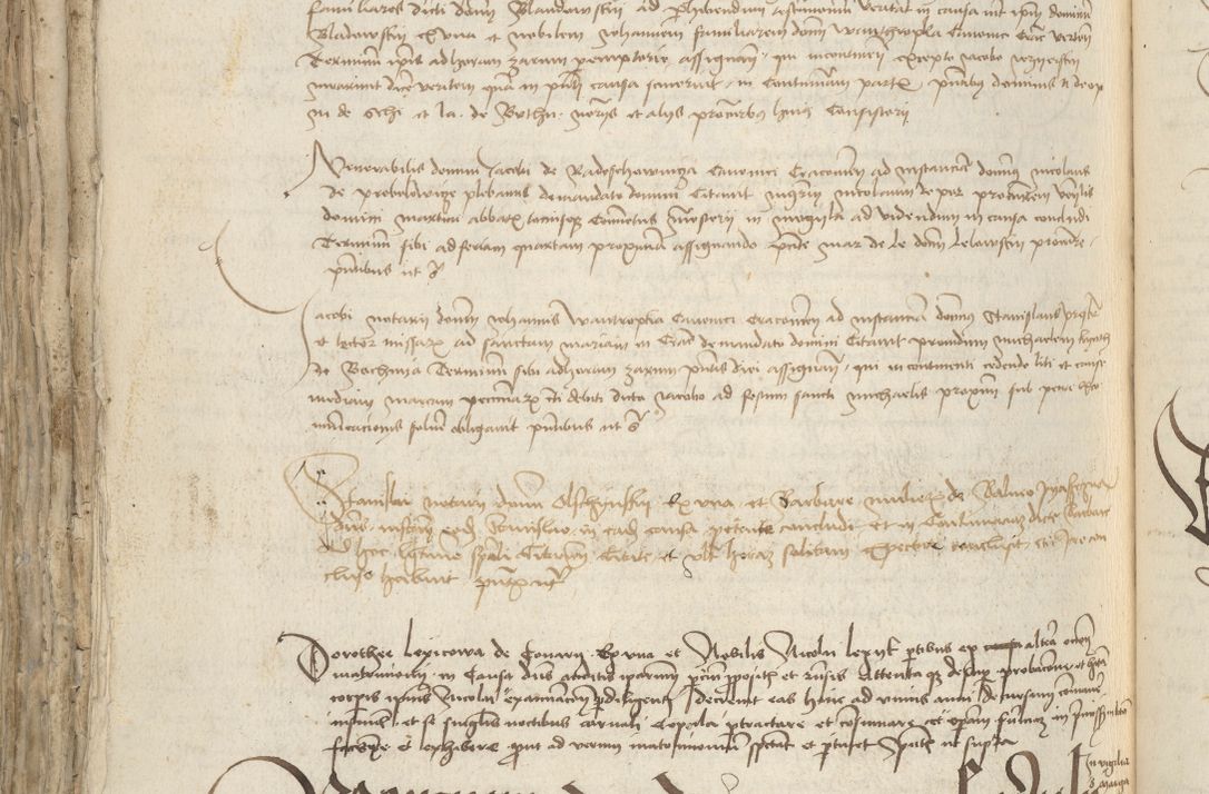 Zdjęcie nr 784 dla obiektu archiwalnego: [Acta pronuntiationum officialia coram Sandivogio de Thanczin]