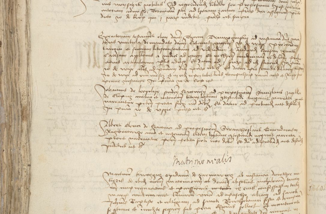 Zdjęcie nr 736 dla obiektu archiwalnego: [Acta pronuntiationum officialia coram Sandivogio de Thanczin]