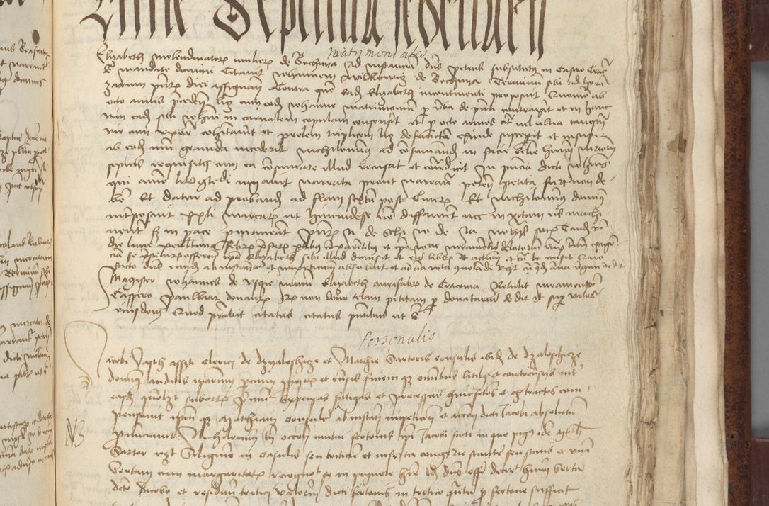 Zdjęcie nr 733 dla obiektu archiwalnego: [Acta pronuntiationum officialia coram Sandivogio de Thanczin]