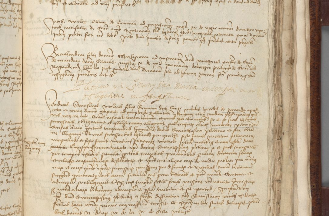 Zdjęcie nr 731 dla obiektu archiwalnego: [Acta pronuntiationum officialia coram Sandivogio de Thanczin]