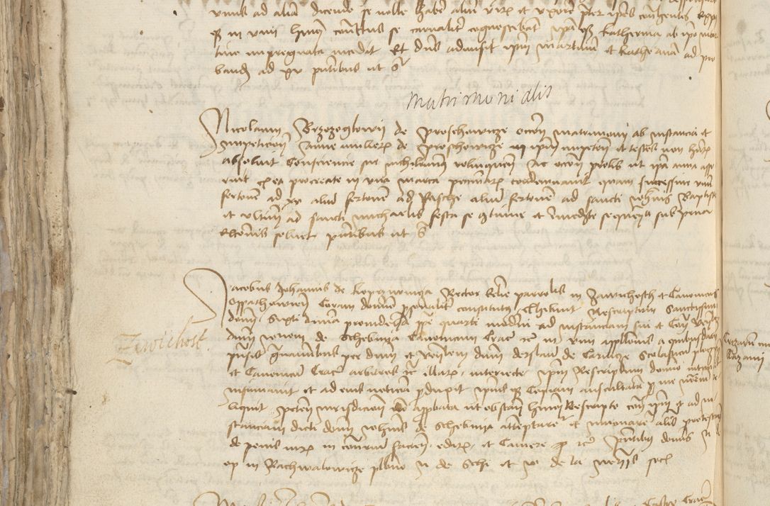 Zdjęcie nr 730 dla obiektu archiwalnego: [Acta pronuntiationum officialia coram Sandivogio de Thanczin]