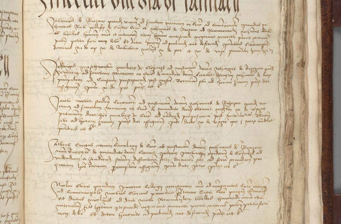 Zdjęcie nr 729 dla obiektu archiwalnego: [Acta pronuntiationum officialia coram Sandivogio de Thanczin]