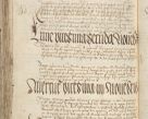 Zdjęcie nr 710 dla obiektu archiwalnego: [Acta pronuntiationum officialia coram Sandivogio de Thanczin]