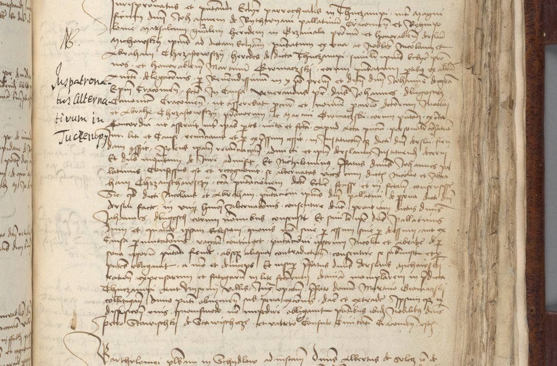 Zdjęcie nr 619 dla obiektu archiwalnego: [Acta pronuntiationum officialia coram Sandivogio de Thanczin]