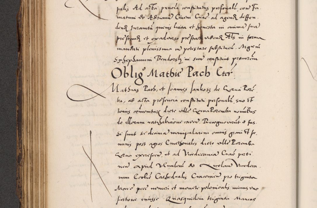 Zdjęcie nr 196 dla obiektu archiwalnego: Acta actorum causarum, sentenciarum diffinitivarum quam interloquutiorum, decretorum, obligationum, quietationum et constitutionum procuratorum coram reverndo domino Petri Porembski preposito Ossviencimensi, canonico et officiali Cracoviensi generali ad annum Dimini 1556, inditione quatuor decima, pontificatus sanctissimi in Christo patris domini Pauli divina providencia pape IIII anno ispius.