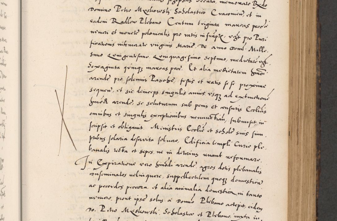 Zdjęcie nr 189 dla obiektu archiwalnego: Acta actorum causarum, sentenciarum diffinitivarum quam interloquutiorum, decretorum, obligationum, quietationum et constitutionum procuratorum coram reverndo domino Petri Porembski preposito Ossviencimensi, canonico et officiali Cracoviensi generali ad annum Dimini 1556, inditione quatuor decima, pontificatus sanctissimi in Christo patris domini Pauli divina providencia pape IIII anno ispius.