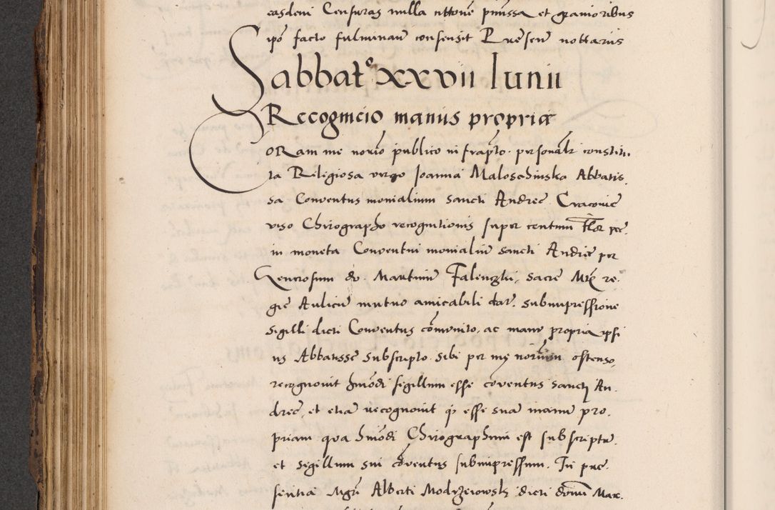 Zdjęcie nr 186 dla obiektu archiwalnego: Acta actorum causarum, sentenciarum diffinitivarum quam interloquutiorum, decretorum, obligationum, quietationum et constitutionum procuratorum coram reverndo domino Petri Porembski preposito Ossviencimensi, canonico et officiali Cracoviensi generali ad annum Dimini 1556, inditione quatuor decima, pontificatus sanctissimi in Christo patris domini Pauli divina providencia pape IIII anno ispius.