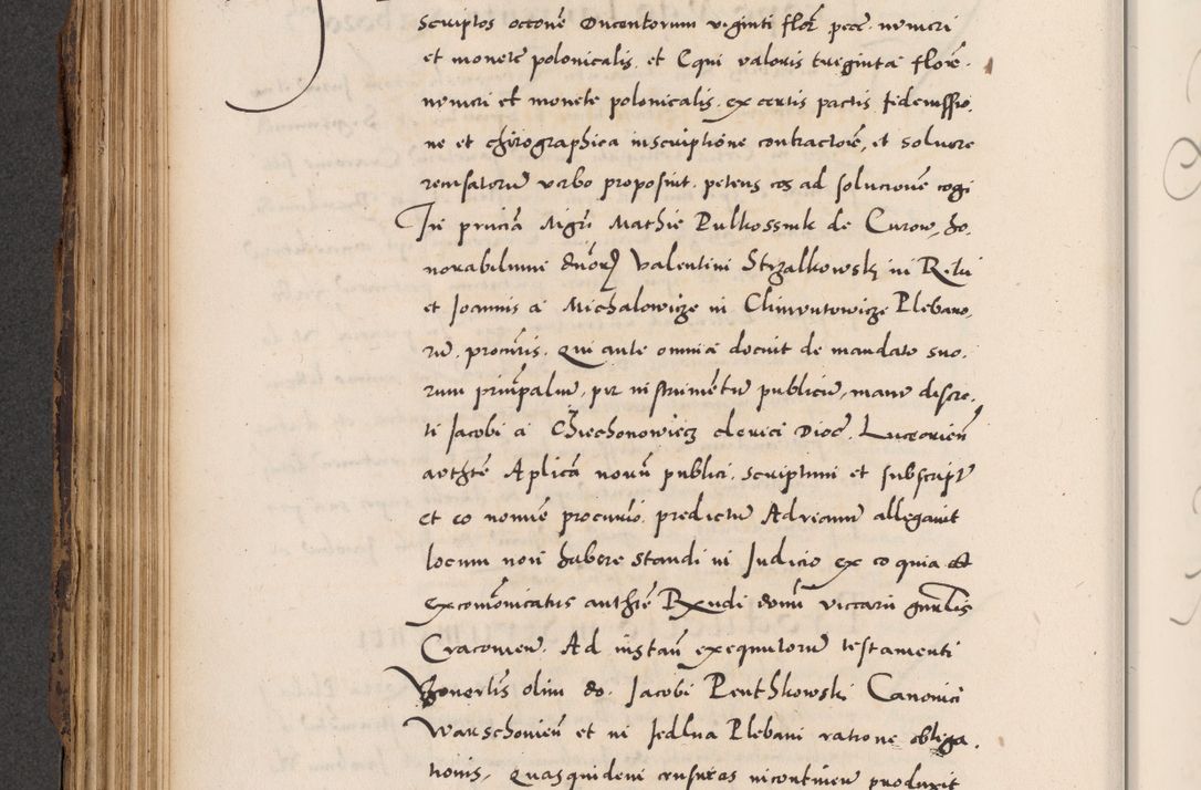 Zdjęcie nr 184 dla obiektu archiwalnego: Acta actorum causarum, sentenciarum diffinitivarum quam interloquutiorum, decretorum, obligationum, quietationum et constitutionum procuratorum coram reverndo domino Petri Porembski preposito Ossviencimensi, canonico et officiali Cracoviensi generali ad annum Dimini 1556, inditione quatuor decima, pontificatus sanctissimi in Christo patris domini Pauli divina providencia pape IIII anno ispius.