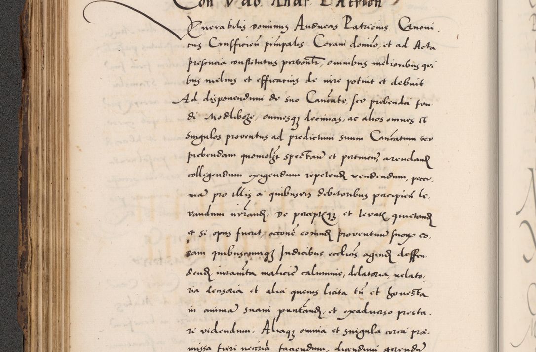 Zdjęcie nr 160 dla obiektu archiwalnego: Acta actorum causarum, sentenciarum diffinitivarum quam interloquutiorum, decretorum, obligationum, quietationum et constitutionum procuratorum coram reverndo domino Petri Porembski preposito Ossviencimensi, canonico et officiali Cracoviensi generali ad annum Dimini 1556, inditione quatuor decima, pontificatus sanctissimi in Christo patris domini Pauli divina providencia pape IIII anno ispius.