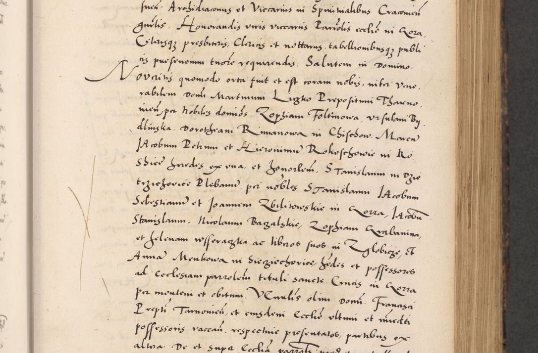 Zdjęcie nr 153 dla obiektu archiwalnego: Acta actorum causarum, sentenciarum diffinitivarum quam interloquutiorum, decretorum, obligationum, quietationum et constitutionum procuratorum coram reverndo domino Petri Porembski preposito Ossviencimensi, canonico et officiali Cracoviensi generali ad annum Dimini 1556, inditione quatuor decima, pontificatus sanctissimi in Christo patris domini Pauli divina providencia pape IIII anno ispius.