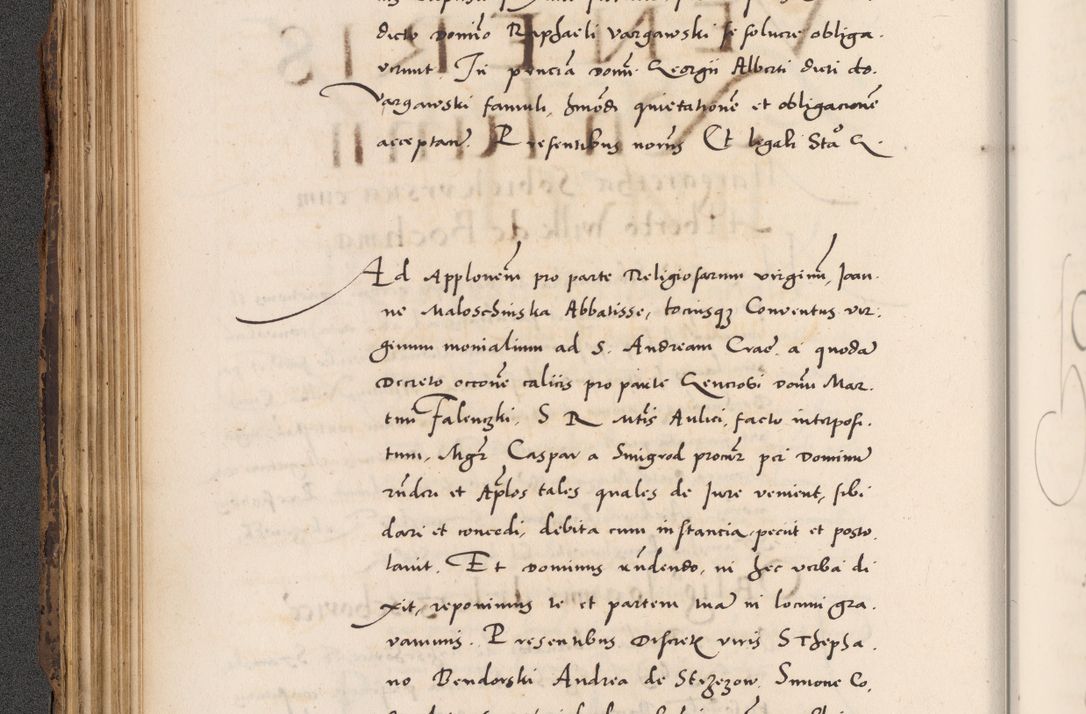 Zdjęcie nr 148 dla obiektu archiwalnego: Acta actorum causarum, sentenciarum diffinitivarum quam interloquutiorum, decretorum, obligationum, quietationum et constitutionum procuratorum coram reverndo domino Petri Porembski preposito Ossviencimensi, canonico et officiali Cracoviensi generali ad annum Dimini 1556, inditione quatuor decima, pontificatus sanctissimi in Christo patris domini Pauli divina providencia pape IIII anno ispius.