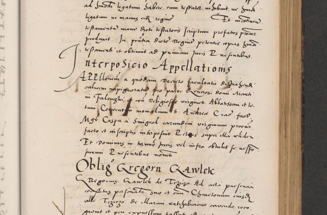 Zdjęcie nr 125 dla obiektu archiwalnego: Acta actorum causarum, sentenciarum diffinitivarum quam interloquutiorum, decretorum, obligationum, quietationum et constitutionum procuratorum coram reverndo domino Petri Porembski preposito Ossviencimensi, canonico et officiali Cracoviensi generali ad annum Dimini 1556, inditione quatuor decima, pontificatus sanctissimi in Christo patris domini Pauli divina providencia pape IIII anno ispius.