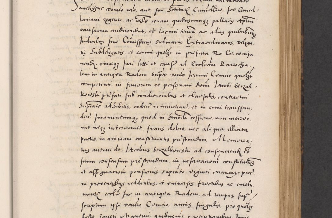 Zdjęcie nr 89 dla obiektu archiwalnego: Acta actorum causarum, sentenciarum diffinitivarum quam interloquutiorum, decretorum, obligationum, quietationum et constitutionum procuratorum coram reverndo domino Petri Porembski preposito Ossviencimensi, canonico et officiali Cracoviensi generali ad annum Dimini 1556, inditione quatuor decima, pontificatus sanctissimi in Christo patris domini Pauli divina providencia pape IIII anno ispius.