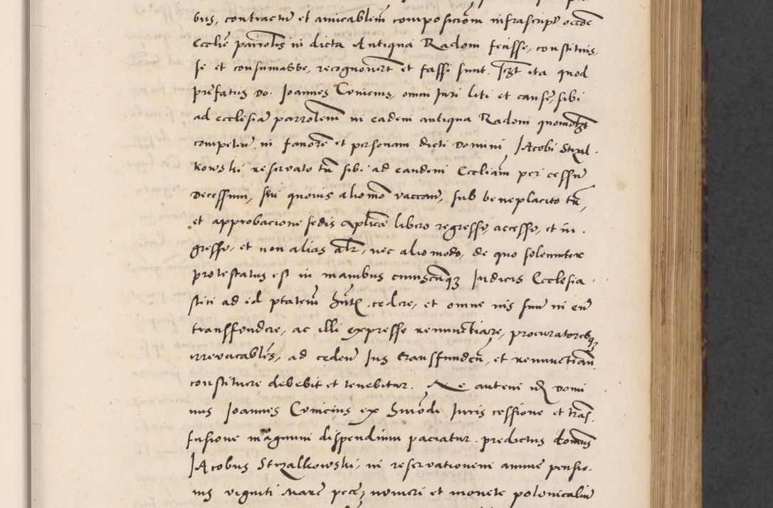 Zdjęcie nr 87 dla obiektu archiwalnego: Acta actorum causarum, sentenciarum diffinitivarum quam interloquutiorum, decretorum, obligationum, quietationum et constitutionum procuratorum coram reverndo domino Petri Porembski preposito Ossviencimensi, canonico et officiali Cracoviensi generali ad annum Dimini 1556, inditione quatuor decima, pontificatus sanctissimi in Christo patris domini Pauli divina providencia pape IIII anno ispius.