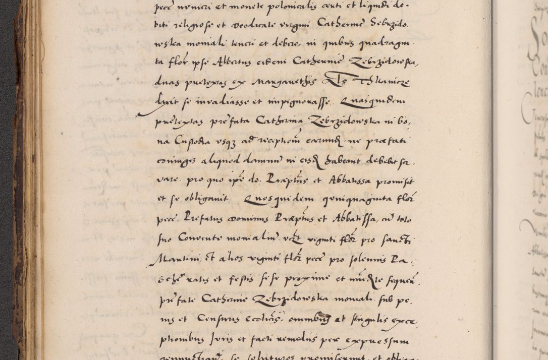 Zdjęcie nr 74 dla obiektu archiwalnego: Acta actorum causarum, sentenciarum diffinitivarum quam interloquutiorum, decretorum, obligationum, quietationum et constitutionum procuratorum coram reverndo domino Petri Porembski preposito Ossviencimensi, canonico et officiali Cracoviensi generali ad annum Dimini 1556, inditione quatuor decima, pontificatus sanctissimi in Christo patris domini Pauli divina providencia pape IIII anno ispius.