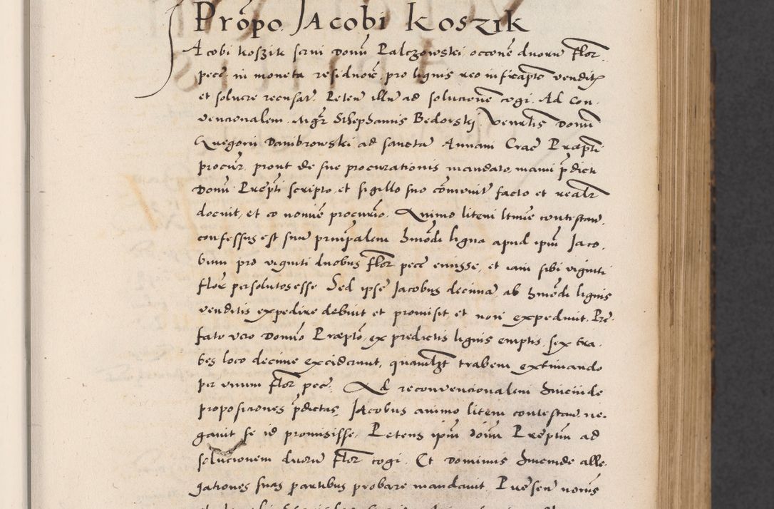 Zdjęcie nr 57 dla obiektu archiwalnego: Acta actorum causarum, sentenciarum diffinitivarum quam interloquutiorum, decretorum, obligationum, quietationum et constitutionum procuratorum coram reverndo domino Petri Porembski preposito Ossviencimensi, canonico et officiali Cracoviensi generali ad annum Dimini 1556, inditione quatuor decima, pontificatus sanctissimi in Christo patris domini Pauli divina providencia pape IIII anno ispius.