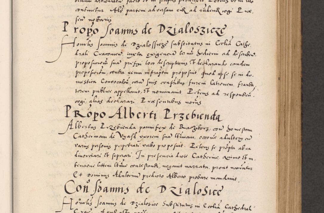 Zdjęcie nr 29 dla obiektu archiwalnego: Acta actorum causarum, sentenciarum diffinitivarum quam interloquutiorum, decretorum, obligationum, quietationum et constitutionum procuratorum coram reverndo domino Petri Porembski preposito Ossviencimensi, canonico et officiali Cracoviensi generali ad annum Dimini 1556, inditione quatuor decima, pontificatus sanctissimi in Christo patris domini Pauli divina providencia pape IIII anno ispius.
