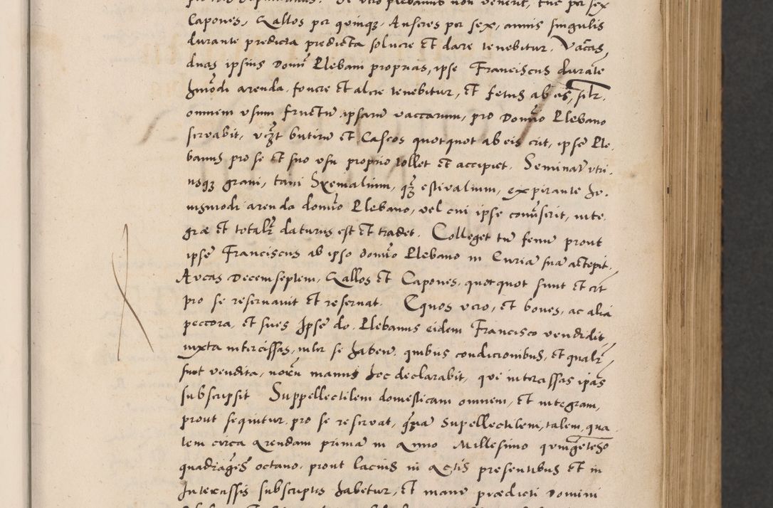 Zdjęcie nr 13 dla obiektu archiwalnego: Acta actorum causarum, sentenciarum diffinitivarum quam interloquutiorum, decretorum, obligationum, quietationum et constitutionum procuratorum coram reverndo domino Petri Porembski preposito Ossviencimensi, canonico et officiali Cracoviensi generali ad annum Dimini 1556, inditione quatuor decima, pontificatus sanctissimi in Christo patris domini Pauli divina providencia pape IIII anno ispius.