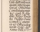 Zdjęcie nr 387 dla obiektu archiwalnego: Acta actorum causarum, sentenciarum diffinitivarum quam interloquutiorum, decretorum, obligationum, quietationum et constitutionum procuratorum coram reverndo domino Petri Porembski preposito Ossviencimensi, canonico et officiali Cracoviensi generali ad annum Dimini 1556, inditione quatuor decima, pontificatus sanctissimi in Christo patris domini Pauli divina providencia pape IIII anno ispius.