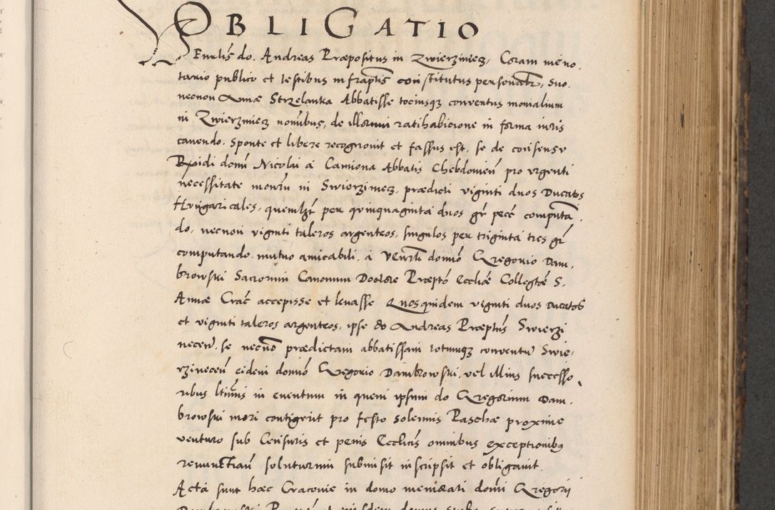 Zdjęcie nr 385 dla obiektu archiwalnego: Acta actorum causarum, sentenciarum diffinitivarum quam interloquutiorum, decretorum, obligationum, quietationum et constitutionum procuratorum coram reverndo domino Petri Porembski preposito Ossviencimensi, canonico et officiali Cracoviensi generali ad annum Dimini 1556, inditione quatuor decima, pontificatus sanctissimi in Christo patris domini Pauli divina providencia pape IIII anno ispius.