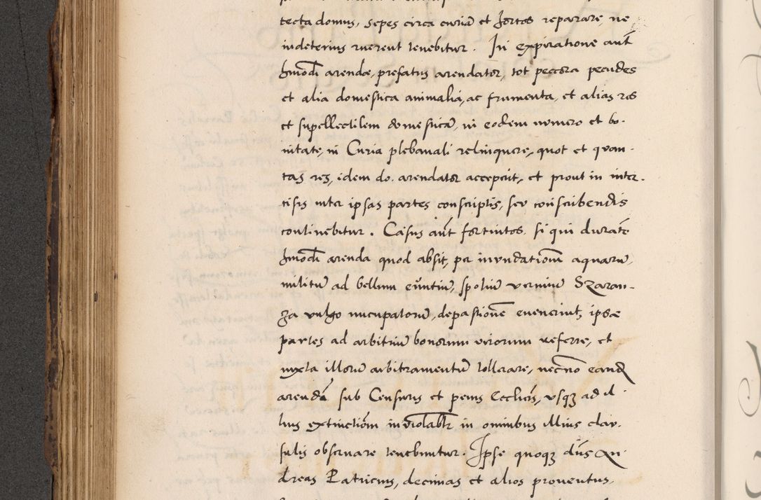 Zdjęcie nr 352 dla obiektu archiwalnego: Acta actorum causarum, sentenciarum diffinitivarum quam interloquutiorum, decretorum, obligationum, quietationum et constitutionum procuratorum coram reverndo domino Petri Porembski preposito Ossviencimensi, canonico et officiali Cracoviensi generali ad annum Dimini 1556, inditione quatuor decima, pontificatus sanctissimi in Christo patris domini Pauli divina providencia pape IIII anno ispius.