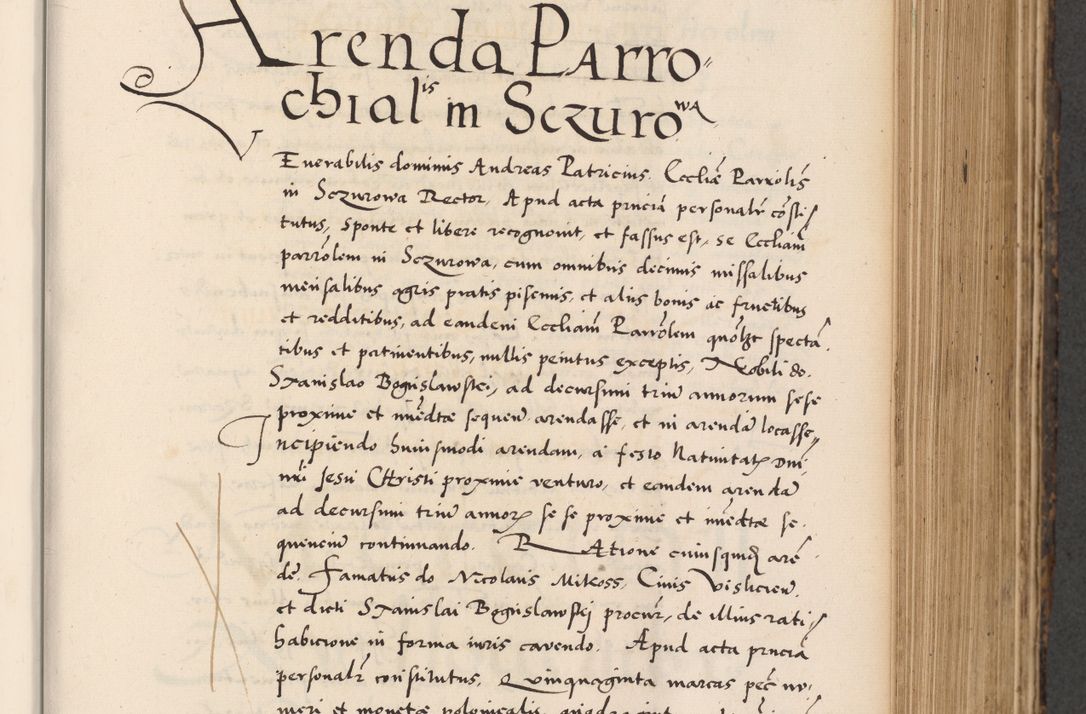 Zdjęcie nr 351 dla obiektu archiwalnego: Acta actorum causarum, sentenciarum diffinitivarum quam interloquutiorum, decretorum, obligationum, quietationum et constitutionum procuratorum coram reverndo domino Petri Porembski preposito Ossviencimensi, canonico et officiali Cracoviensi generali ad annum Dimini 1556, inditione quatuor decima, pontificatus sanctissimi in Christo patris domini Pauli divina providencia pape IIII anno ispius.