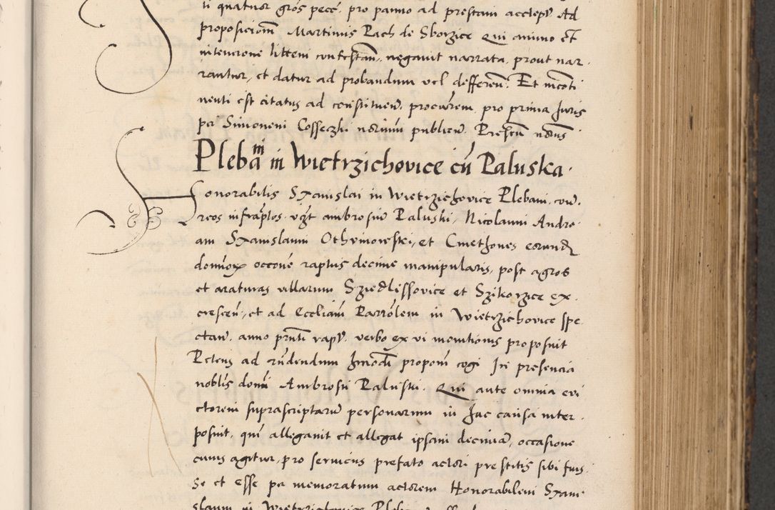 Zdjęcie nr 341 dla obiektu archiwalnego: Acta actorum causarum, sentenciarum diffinitivarum quam interloquutiorum, decretorum, obligationum, quietationum et constitutionum procuratorum coram reverndo domino Petri Porembski preposito Ossviencimensi, canonico et officiali Cracoviensi generali ad annum Dimini 1556, inditione quatuor decima, pontificatus sanctissimi in Christo patris domini Pauli divina providencia pape IIII anno ispius.