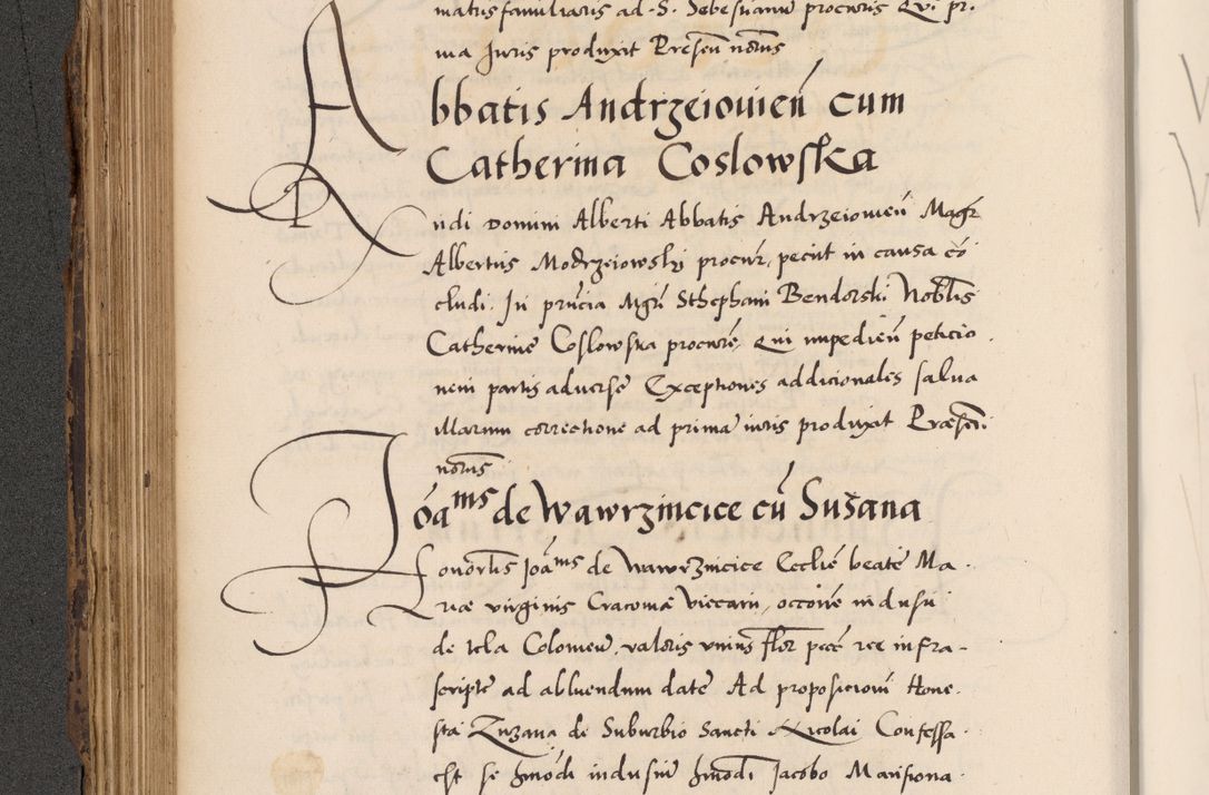 Zdjęcie nr 330 dla obiektu archiwalnego: Acta actorum causarum, sentenciarum diffinitivarum quam interloquutiorum, decretorum, obligationum, quietationum et constitutionum procuratorum coram reverndo domino Petri Porembski preposito Ossviencimensi, canonico et officiali Cracoviensi generali ad annum Dimini 1556, inditione quatuor decima, pontificatus sanctissimi in Christo patris domini Pauli divina providencia pape IIII anno ispius.