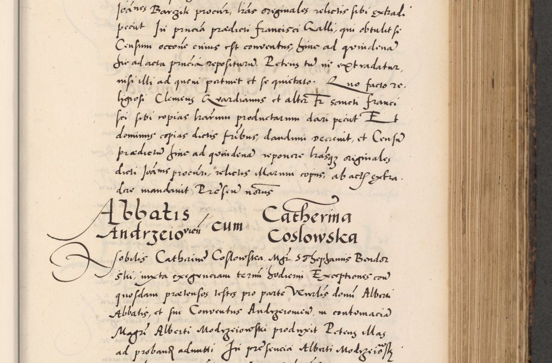 Zdjęcie nr 303 dla obiektu archiwalnego: Acta actorum causarum, sentenciarum diffinitivarum quam interloquutiorum, decretorum, obligationum, quietationum et constitutionum procuratorum coram reverndo domino Petri Porembski preposito Ossviencimensi, canonico et officiali Cracoviensi generali ad annum Dimini 1556, inditione quatuor decima, pontificatus sanctissimi in Christo patris domini Pauli divina providencia pape IIII anno ispius.