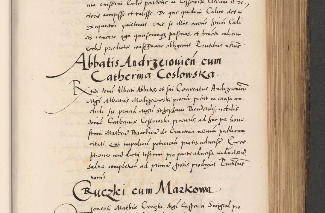 Zdjęcie nr 291 dla obiektu archiwalnego: Acta actorum causarum, sentenciarum diffinitivarum quam interloquutiorum, decretorum, obligationum, quietationum et constitutionum procuratorum coram reverndo domino Petri Porembski preposito Ossviencimensi, canonico et officiali Cracoviensi generali ad annum Dimini 1556, inditione quatuor decima, pontificatus sanctissimi in Christo patris domini Pauli divina providencia pape IIII anno ispius.
