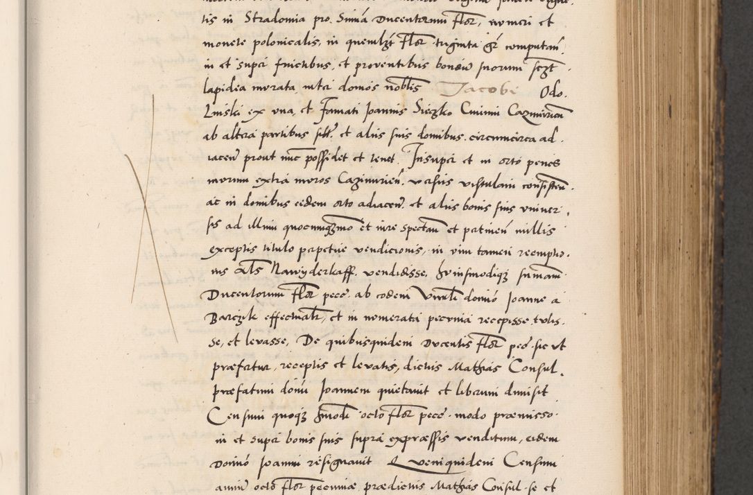 Zdjęcie nr 285 dla obiektu archiwalnego: Acta actorum causarum, sentenciarum diffinitivarum quam interloquutiorum, decretorum, obligationum, quietationum et constitutionum procuratorum coram reverndo domino Petri Porembski preposito Ossviencimensi, canonico et officiali Cracoviensi generali ad annum Dimini 1556, inditione quatuor decima, pontificatus sanctissimi in Christo patris domini Pauli divina providencia pape IIII anno ispius.