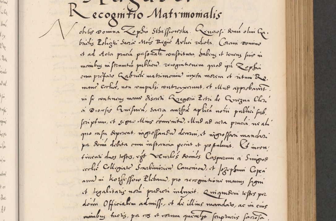 Zdjęcie nr 251 dla obiektu archiwalnego: Acta actorum causarum, sentenciarum diffinitivarum quam interloquutiorum, decretorum, obligationum, quietationum et constitutionum procuratorum coram reverndo domino Petri Porembski preposito Ossviencimensi, canonico et officiali Cracoviensi generali ad annum Dimini 1556, inditione quatuor decima, pontificatus sanctissimi in Christo patris domini Pauli divina providencia pape IIII anno ispius.