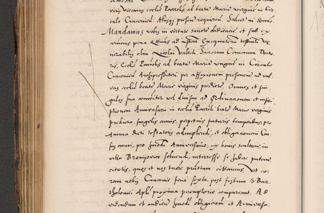 Zdjęcie nr 250 dla obiektu archiwalnego: Acta actorum causarum, sentenciarum diffinitivarum quam interloquutiorum, decretorum, obligationum, quietationum et constitutionum procuratorum coram reverndo domino Petri Porembski preposito Ossviencimensi, canonico et officiali Cracoviensi generali ad annum Dimini 1556, inditione quatuor decima, pontificatus sanctissimi in Christo patris domini Pauli divina providencia pape IIII anno ispius.
