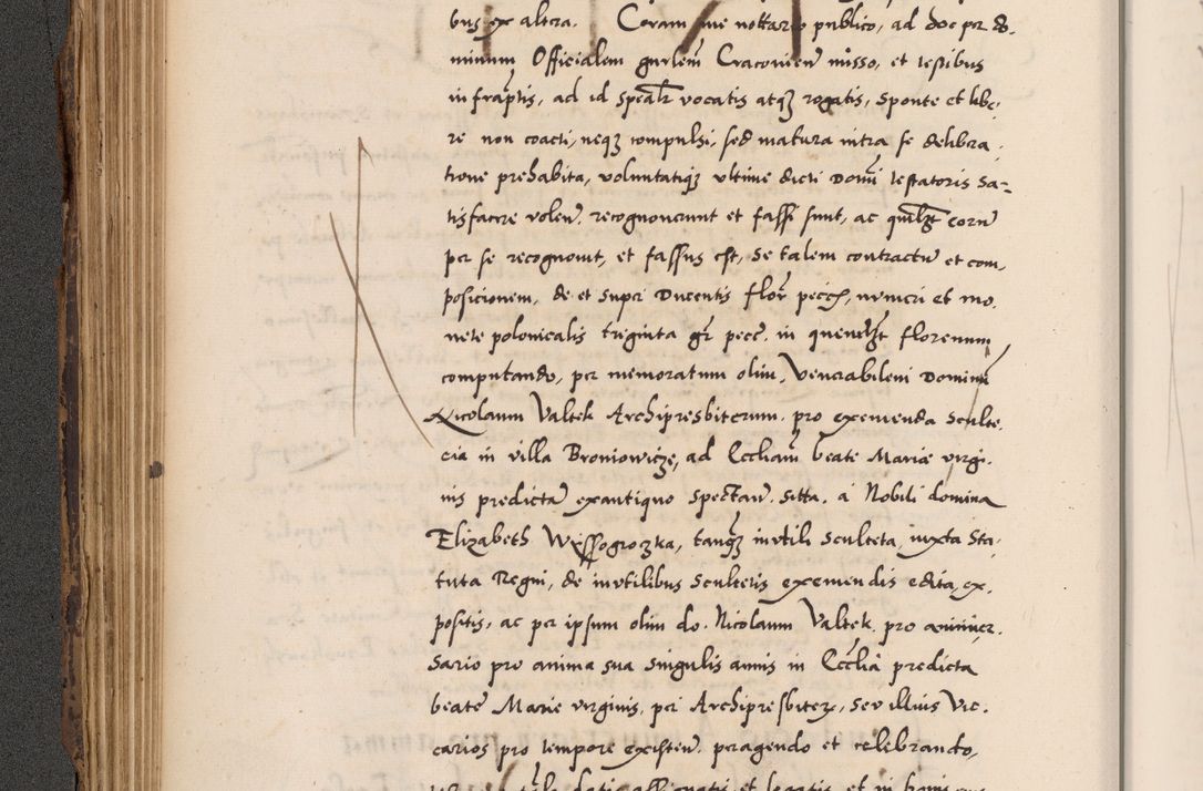 Zdjęcie nr 220 dla obiektu archiwalnego: Acta actorum causarum, sentenciarum diffinitivarum quam interloquutiorum, decretorum, obligationum, quietationum et constitutionum procuratorum coram reverndo domino Petri Porembski preposito Ossviencimensi, canonico et officiali Cracoviensi generali ad annum Dimini 1556, inditione quatuor decima, pontificatus sanctissimi in Christo patris domini Pauli divina providencia pape IIII anno ispius.