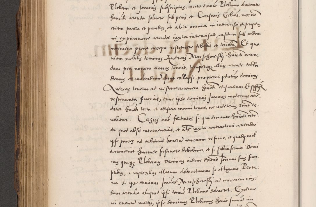 Zdjęcie nr 552 dla obiektu archiwalnego: Acta actorum causarum, sentenciarum diffinitivarum quam interloquutiorum, decretorum, obligationum, quietationum et constitutionum procuratorum coram reverndo domino Petri Porembski preposito Ossviencimensi, canonico et officiali Cracoviensi generali ad annum Dimini 1556, inditione quatuor decima, pontificatus sanctissimi in Christo patris domini Pauli divina providencia pape IIII anno ispius.