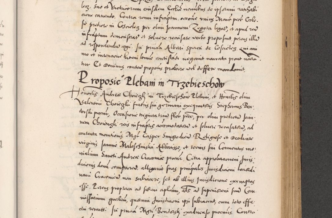 Zdjęcie nr 545 dla obiektu archiwalnego: Acta actorum causarum, sentenciarum diffinitivarum quam interloquutiorum, decretorum, obligationum, quietationum et constitutionum procuratorum coram reverndo domino Petri Porembski preposito Ossviencimensi, canonico et officiali Cracoviensi generali ad annum Dimini 1556, inditione quatuor decima, pontificatus sanctissimi in Christo patris domini Pauli divina providencia pape IIII anno ispius.
