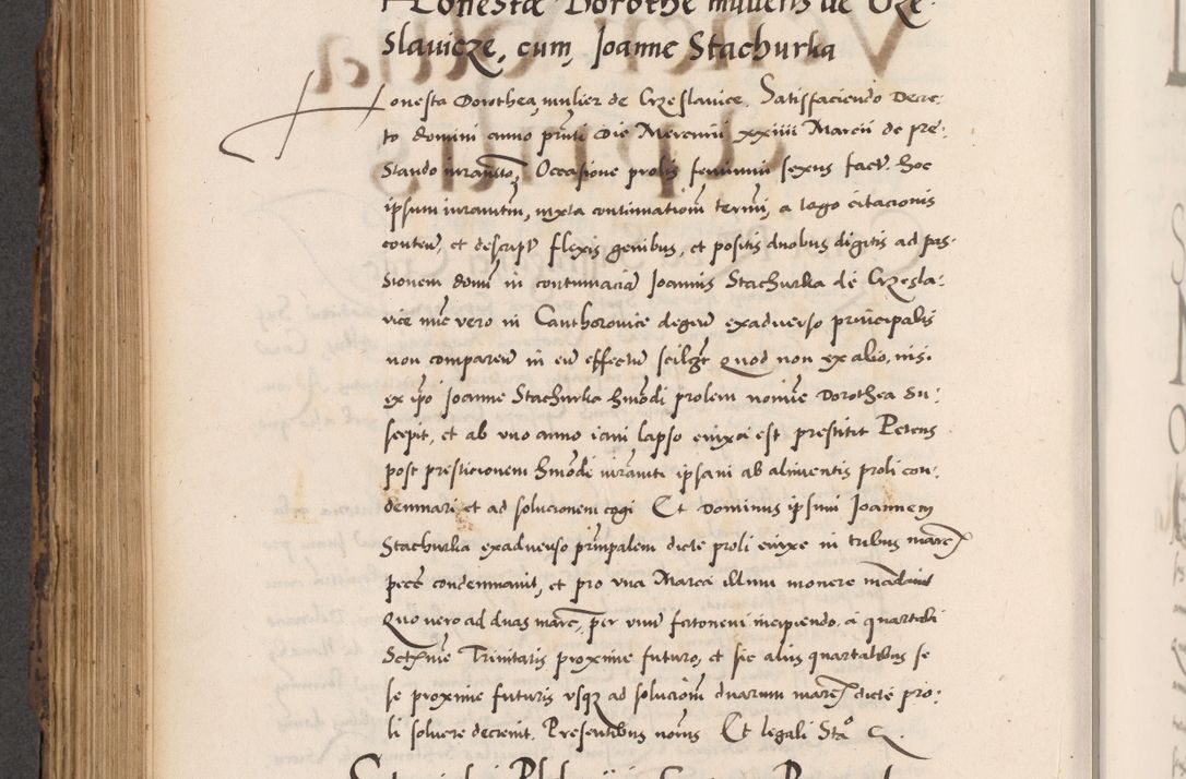 Zdjęcie nr 542 dla obiektu archiwalnego: Acta actorum causarum, sentenciarum diffinitivarum quam interloquutiorum, decretorum, obligationum, quietationum et constitutionum procuratorum coram reverndo domino Petri Porembski preposito Ossviencimensi, canonico et officiali Cracoviensi generali ad annum Dimini 1556, inditione quatuor decima, pontificatus sanctissimi in Christo patris domini Pauli divina providencia pape IIII anno ispius.