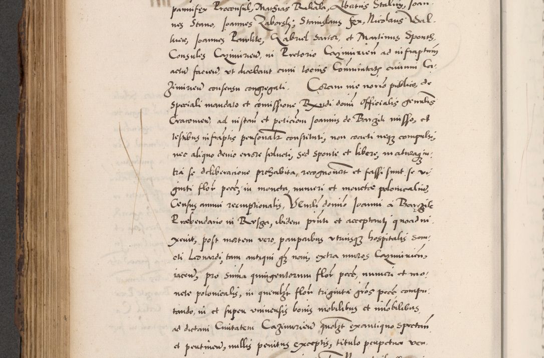 Zdjęcie nr 532 dla obiektu archiwalnego: Acta actorum causarum, sentenciarum diffinitivarum quam interloquutiorum, decretorum, obligationum, quietationum et constitutionum procuratorum coram reverndo domino Petri Porembski preposito Ossviencimensi, canonico et officiali Cracoviensi generali ad annum Dimini 1556, inditione quatuor decima, pontificatus sanctissimi in Christo patris domini Pauli divina providencia pape IIII anno ispius.