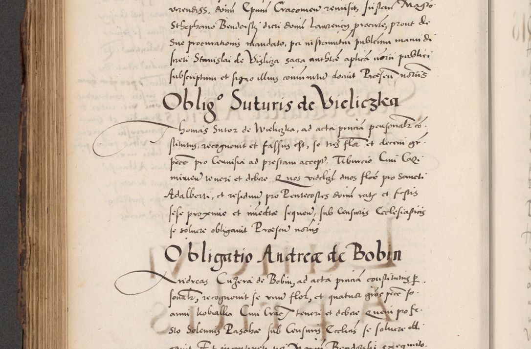 Zdjęcie nr 520 dla obiektu archiwalnego: Acta actorum causarum, sentenciarum diffinitivarum quam interloquutiorum, decretorum, obligationum, quietationum et constitutionum procuratorum coram reverndo domino Petri Porembski preposito Ossviencimensi, canonico et officiali Cracoviensi generali ad annum Dimini 1556, inditione quatuor decima, pontificatus sanctissimi in Christo patris domini Pauli divina providencia pape IIII anno ispius.