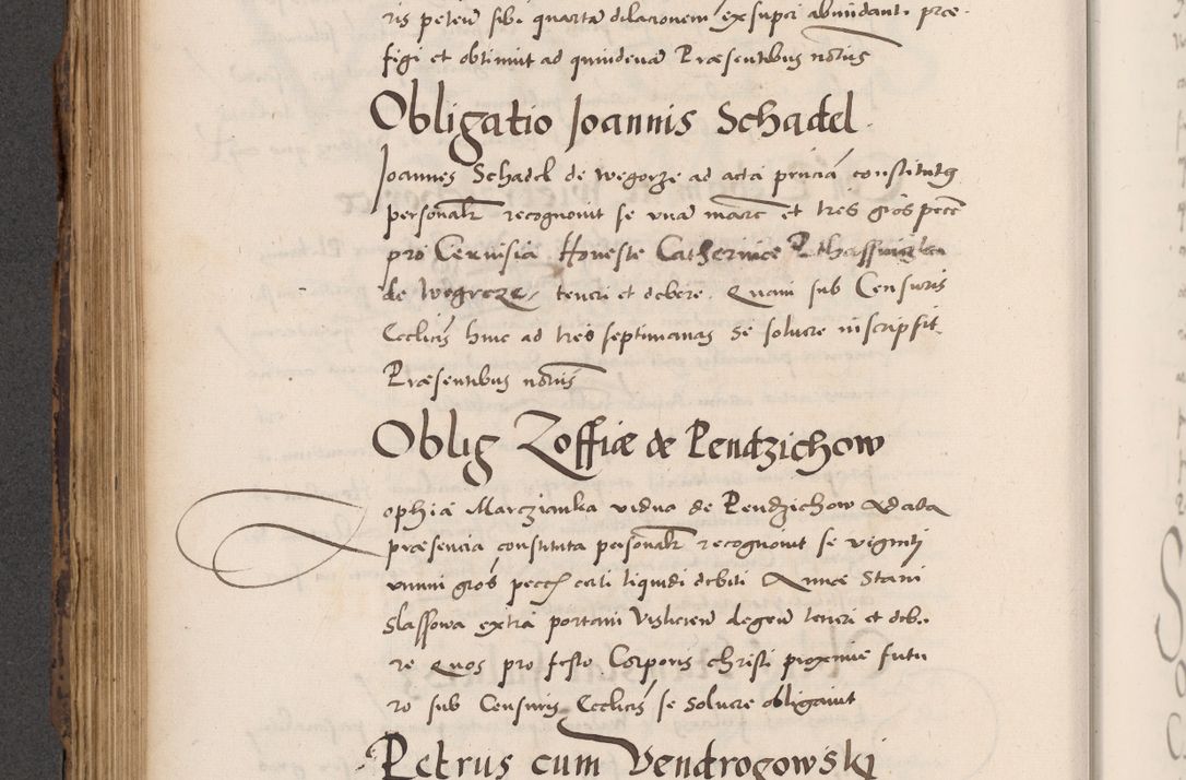 Zdjęcie nr 486 dla obiektu archiwalnego: Acta actorum causarum, sentenciarum diffinitivarum quam interloquutiorum, decretorum, obligationum, quietationum et constitutionum procuratorum coram reverndo domino Petri Porembski preposito Ossviencimensi, canonico et officiali Cracoviensi generali ad annum Dimini 1556, inditione quatuor decima, pontificatus sanctissimi in Christo patris domini Pauli divina providencia pape IIII anno ispius.