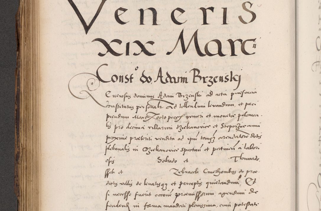 Zdjęcie nr 484 dla obiektu archiwalnego: Acta actorum causarum, sentenciarum diffinitivarum quam interloquutiorum, decretorum, obligationum, quietationum et constitutionum procuratorum coram reverndo domino Petri Porembski preposito Ossviencimensi, canonico et officiali Cracoviensi generali ad annum Dimini 1556, inditione quatuor decima, pontificatus sanctissimi in Christo patris domini Pauli divina providencia pape IIII anno ispius.