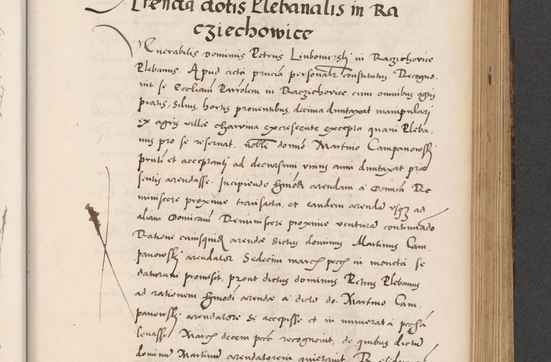 Zdjęcie nr 481 dla obiektu archiwalnego: Acta actorum causarum, sentenciarum diffinitivarum quam interloquutiorum, decretorum, obligationum, quietationum et constitutionum procuratorum coram reverndo domino Petri Porembski preposito Ossviencimensi, canonico et officiali Cracoviensi generali ad annum Dimini 1556, inditione quatuor decima, pontificatus sanctissimi in Christo patris domini Pauli divina providencia pape IIII anno ispius.