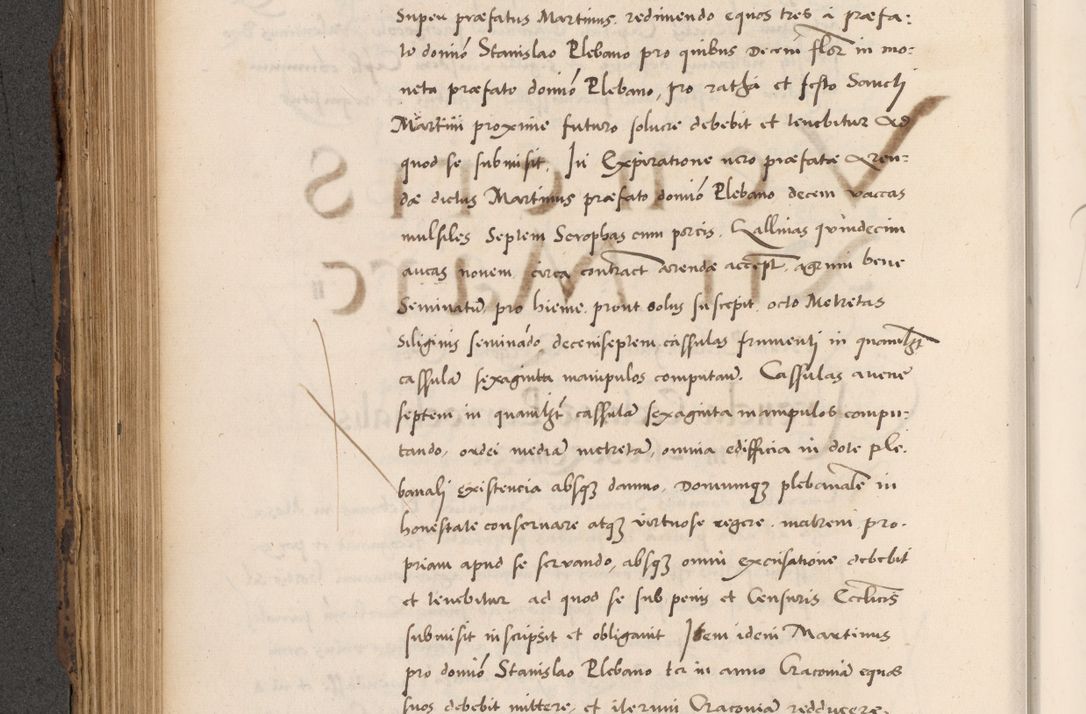Zdjęcie nr 470 dla obiektu archiwalnego: Acta actorum causarum, sentenciarum diffinitivarum quam interloquutiorum, decretorum, obligationum, quietationum et constitutionum procuratorum coram reverndo domino Petri Porembski preposito Ossviencimensi, canonico et officiali Cracoviensi generali ad annum Dimini 1556, inditione quatuor decima, pontificatus sanctissimi in Christo patris domini Pauli divina providencia pape IIII anno ispius.