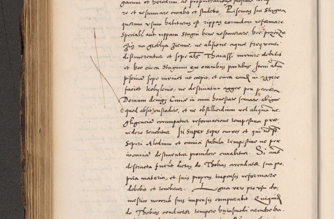 Zdjęcie nr 456 dla obiektu archiwalnego: Acta actorum causarum, sentenciarum diffinitivarum quam interloquutiorum, decretorum, obligationum, quietationum et constitutionum procuratorum coram reverndo domino Petri Porembski preposito Ossviencimensi, canonico et officiali Cracoviensi generali ad annum Dimini 1556, inditione quatuor decima, pontificatus sanctissimi in Christo patris domini Pauli divina providencia pape IIII anno ispius.