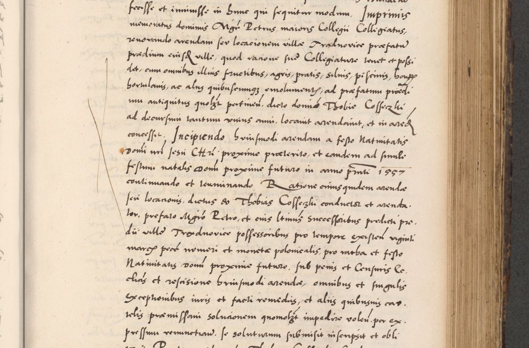 Zdjęcie nr 455 dla obiektu archiwalnego: Acta actorum causarum, sentenciarum diffinitivarum quam interloquutiorum, decretorum, obligationum, quietationum et constitutionum procuratorum coram reverndo domino Petri Porembski preposito Ossviencimensi, canonico et officiali Cracoviensi generali ad annum Dimini 1556, inditione quatuor decima, pontificatus sanctissimi in Christo patris domini Pauli divina providencia pape IIII anno ispius.