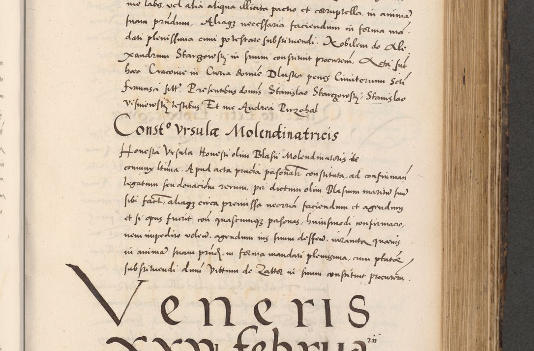 Zdjęcie nr 441 dla obiektu archiwalnego: Acta actorum causarum, sentenciarum diffinitivarum quam interloquutiorum, decretorum, obligationum, quietationum et constitutionum procuratorum coram reverndo domino Petri Porembski preposito Ossviencimensi, canonico et officiali Cracoviensi generali ad annum Dimini 1556, inditione quatuor decima, pontificatus sanctissimi in Christo patris domini Pauli divina providencia pape IIII anno ispius.
