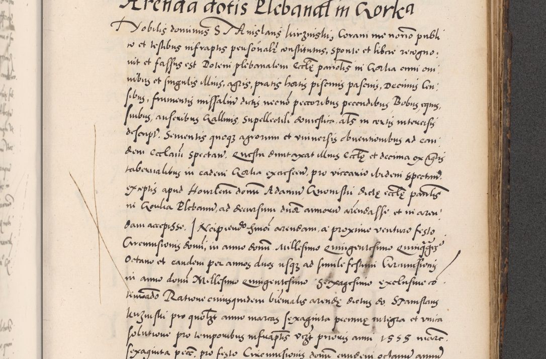 Zdjęcie nr 777 dla obiektu archiwalnego: Acta actorum causarum, sentenciarum diffinitivarum quam interloquutiorum, decretorum, obligationum, quietationum et constitutionum procuratorum coram reverndo domino Petri Porembski preposito Ossviencimensi, canonico et officiali Cracoviensi generali ad annum Dimini 1556, inditione quatuor decima, pontificatus sanctissimi in Christo patris domini Pauli divina providencia pape IIII anno ispius.