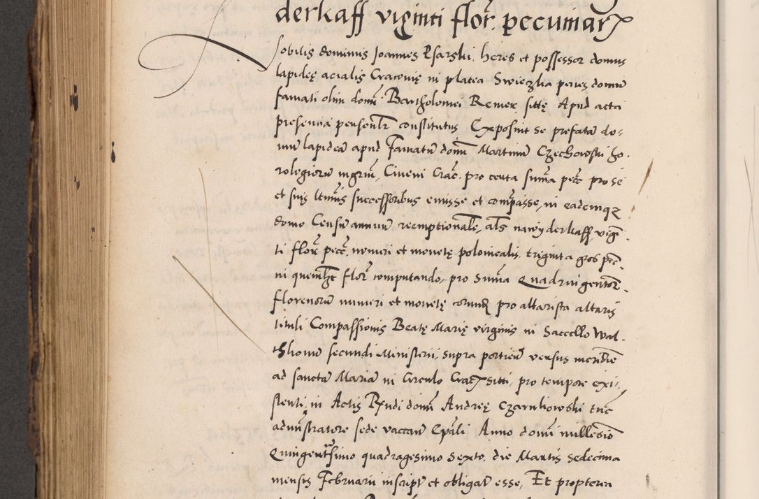 Zdjęcie nr 734 dla obiektu archiwalnego: Acta actorum causarum, sentenciarum diffinitivarum quam interloquutiorum, decretorum, obligationum, quietationum et constitutionum procuratorum coram reverndo domino Petri Porembski preposito Ossviencimensi, canonico et officiali Cracoviensi generali ad annum Dimini 1556, inditione quatuor decima, pontificatus sanctissimi in Christo patris domini Pauli divina providencia pape IIII anno ispius.